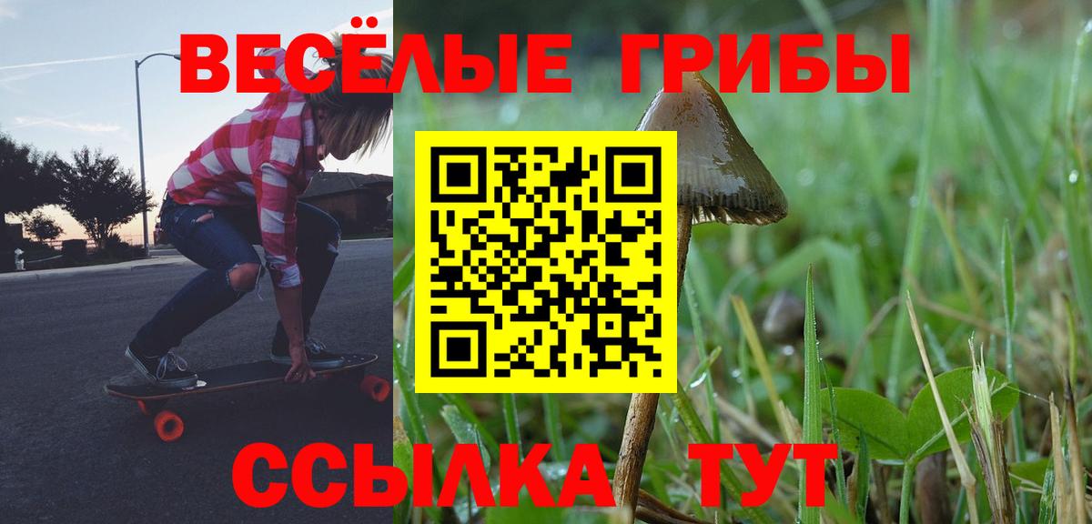 Новокубанск  Галлюциногенные грибы мухоморы  Псилоцибиновые грибы Magic Shrooms  Вход с VPN 